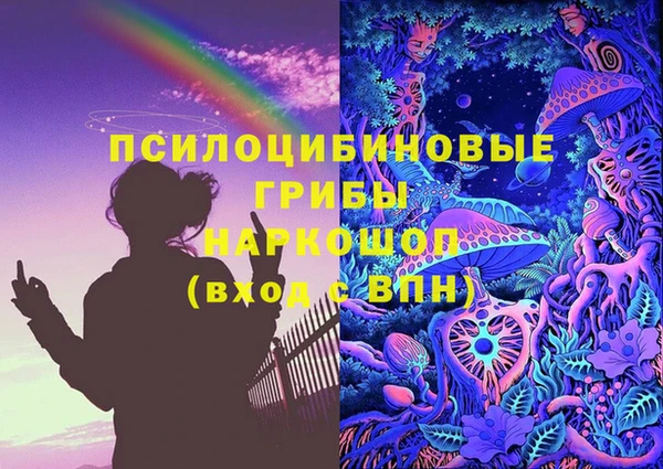 стафф Богородск