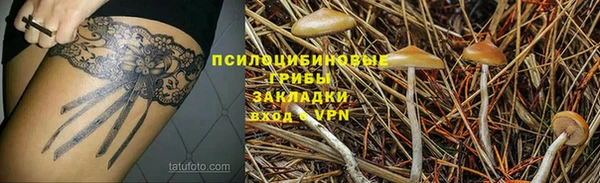марки nbome Богданович