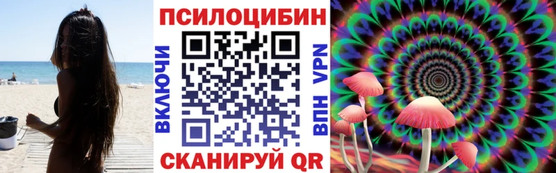 OMG как войти  Киреевск  Галлюциногенные грибы Magic Shrooms 